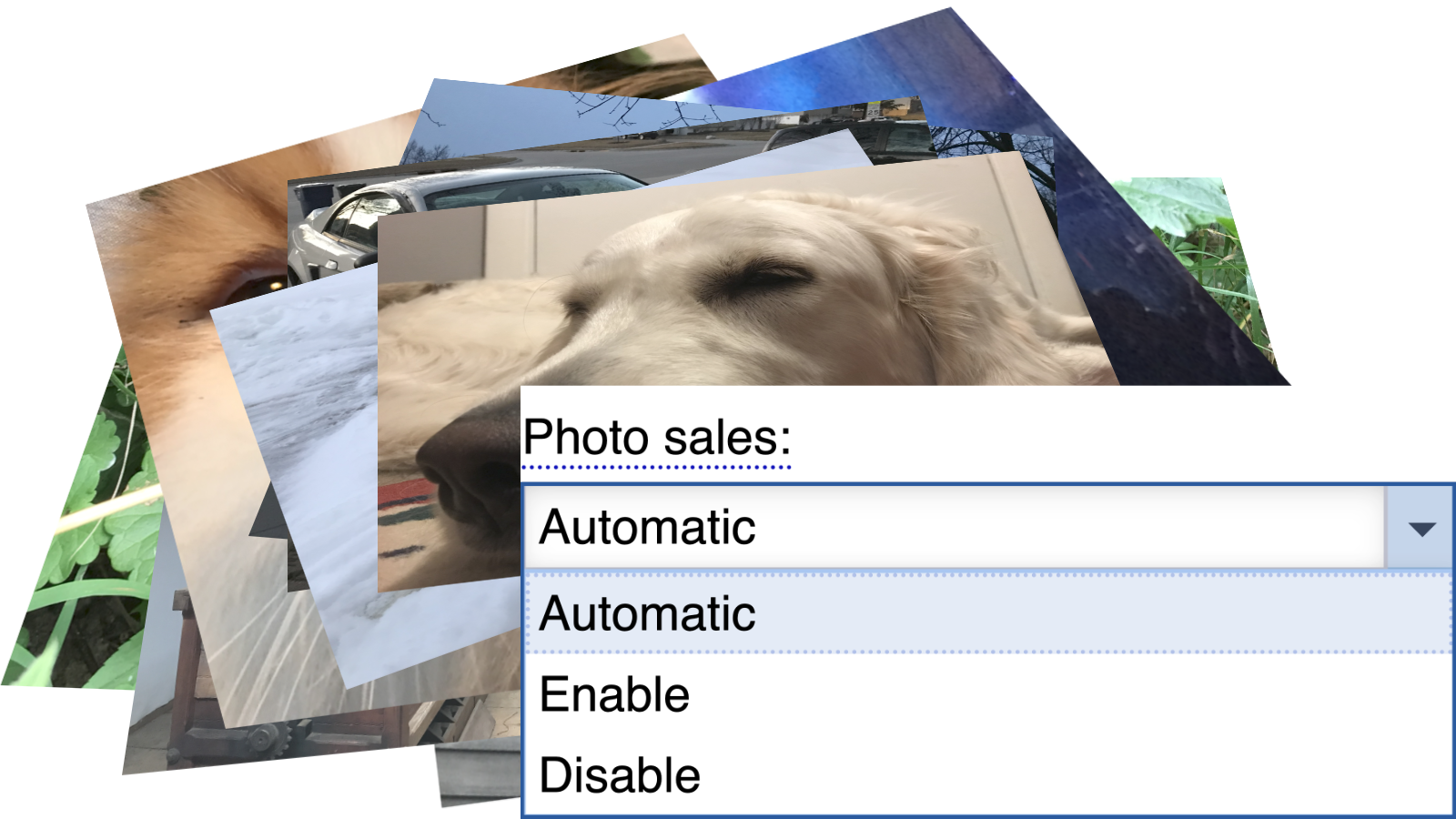 What does Automatic Photo Sales do?